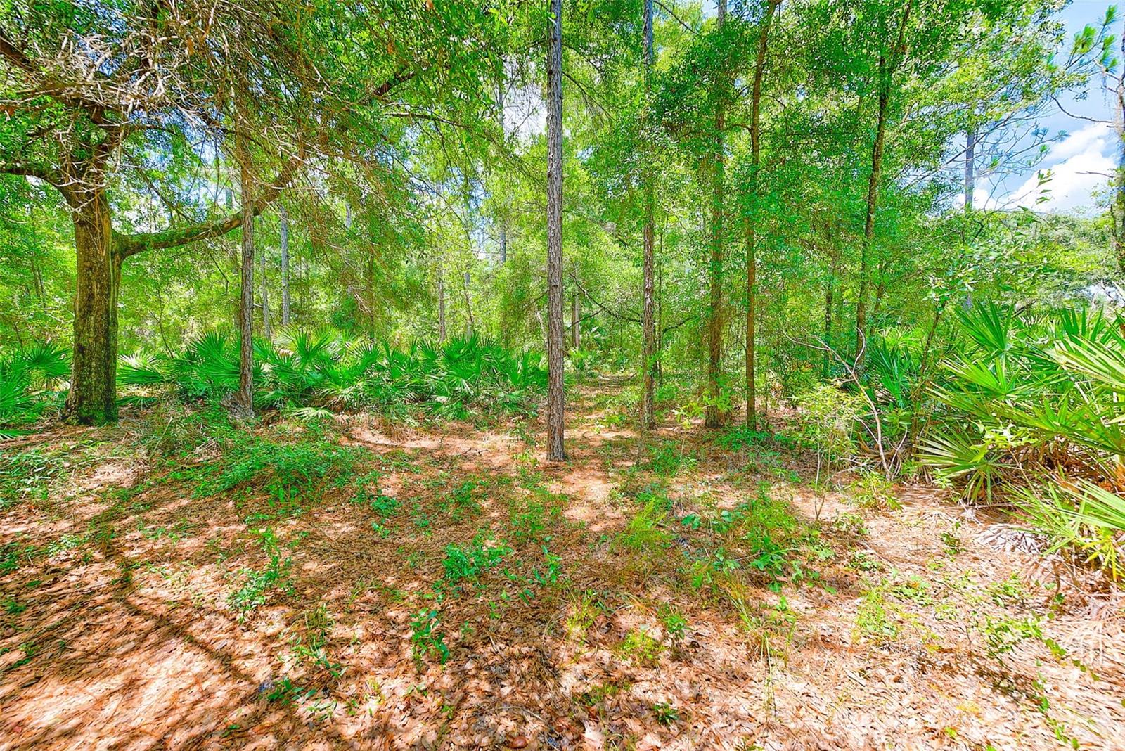 3129 N BERT TERRACE, CRYSTAL RIVER, FL, 34428