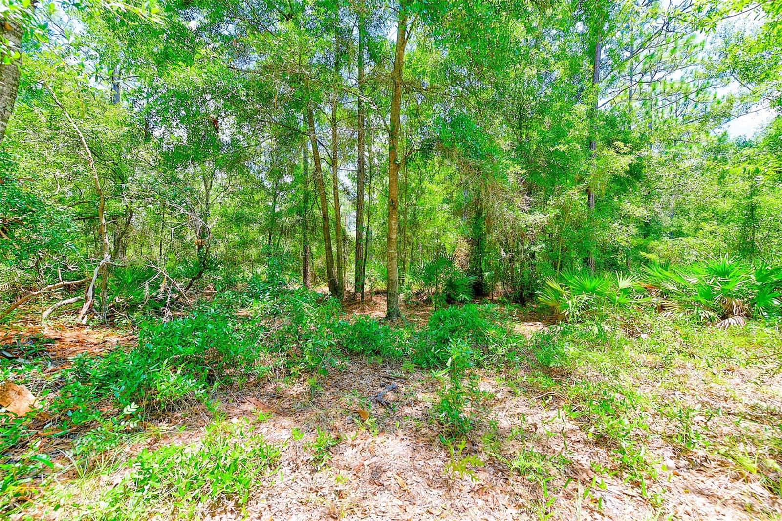 3129 N BERT TERRACE, CRYSTAL RIVER, FL, 34428
