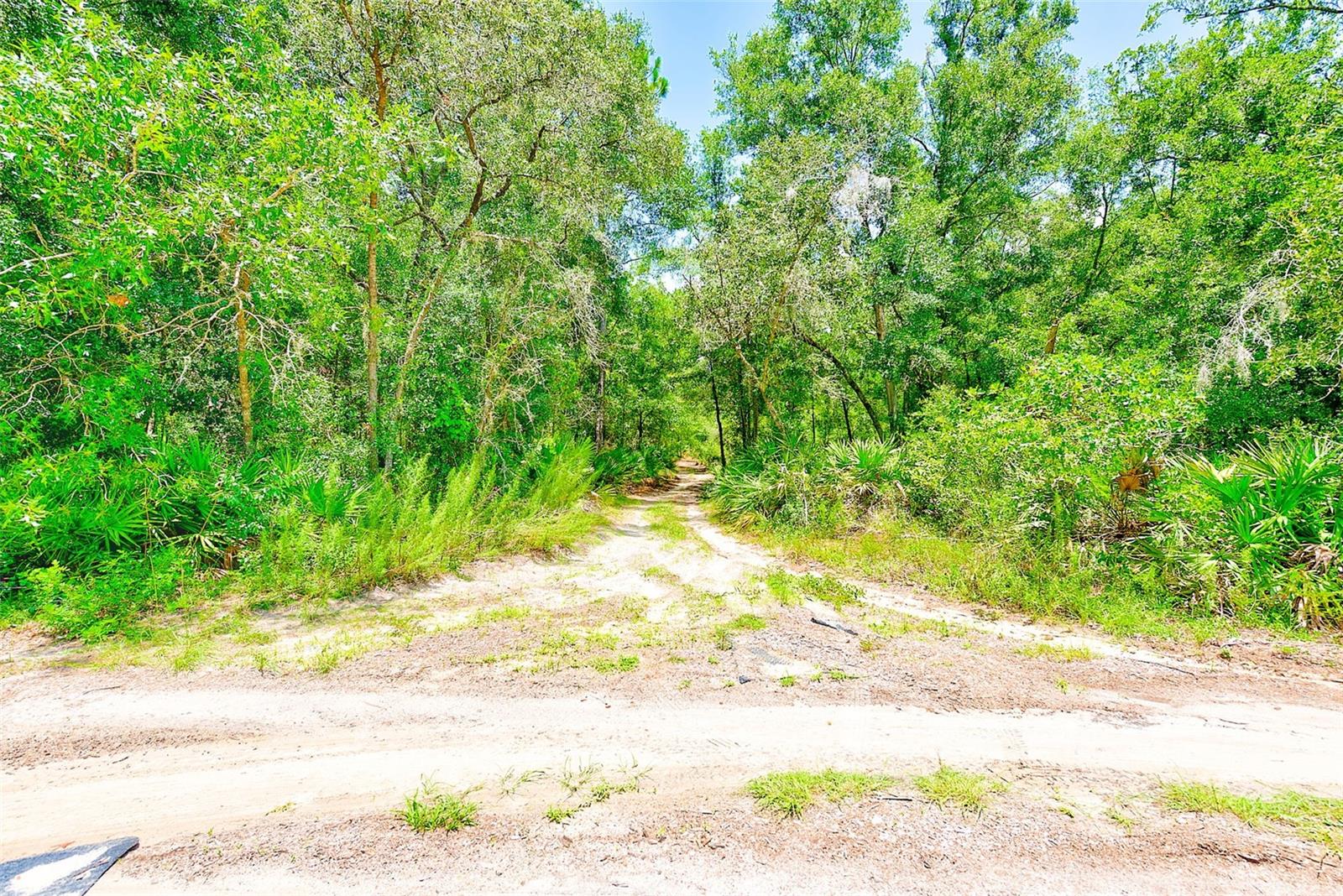 3129 N BERT TERRACE, CRYSTAL RIVER, FL, 34428