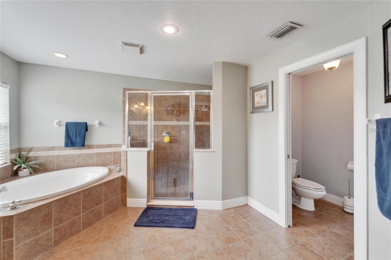 2821 BLACKWATER CREEK DR, LAKELAND, FL, 33810