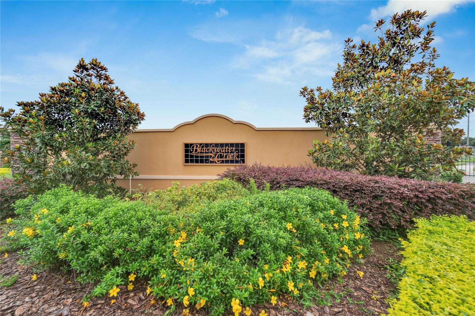 2821 BLACKWATER CREEK DR, LAKELAND, FL, 33810