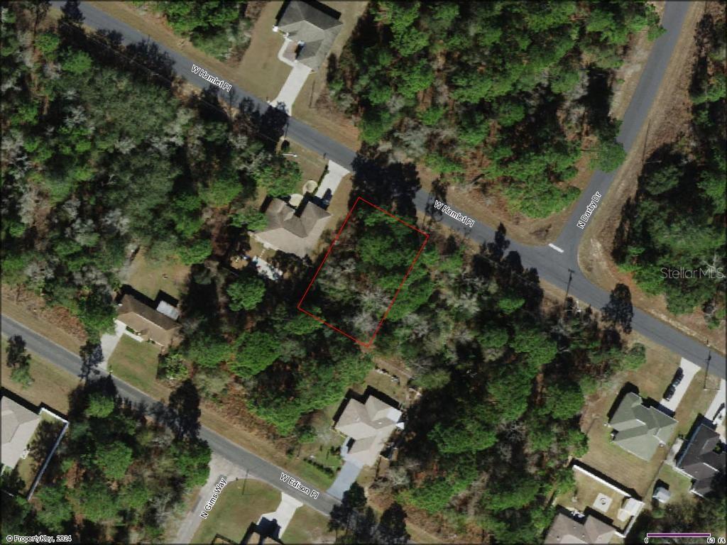 2992 W HAMLET PL, CITRUS SPRINGS, FL, 34433