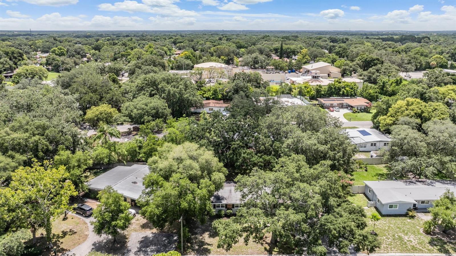 515 HIBISCUS DR, TEMPLE TERRACE, FL, 33617