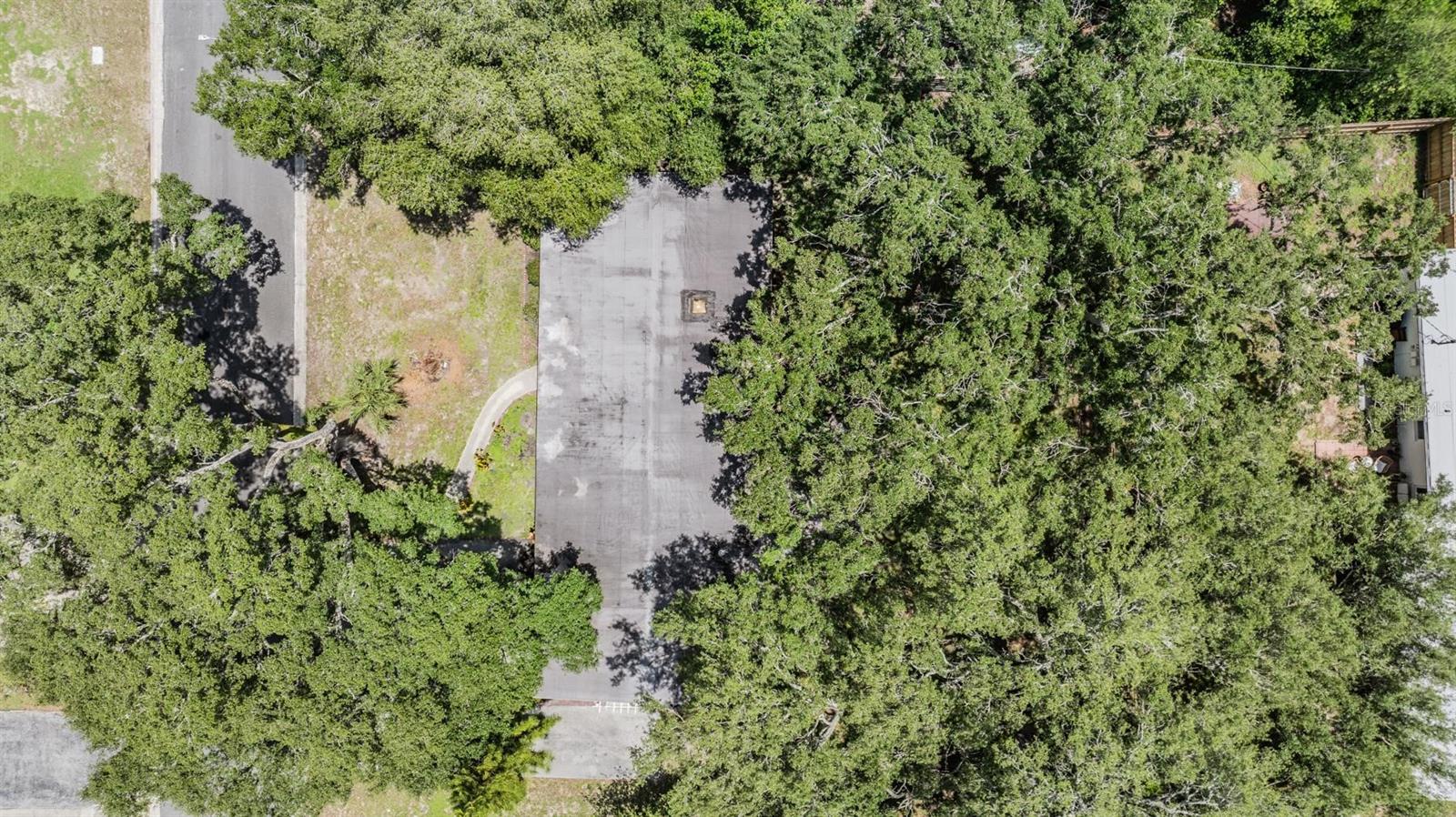 515 HIBISCUS DR, TEMPLE TERRACE, FL, 33617