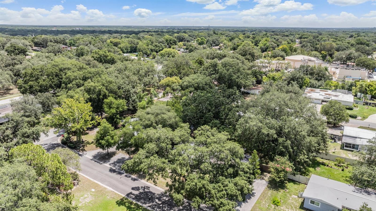 515 HIBISCUS DR, TEMPLE TERRACE, FL, 33617