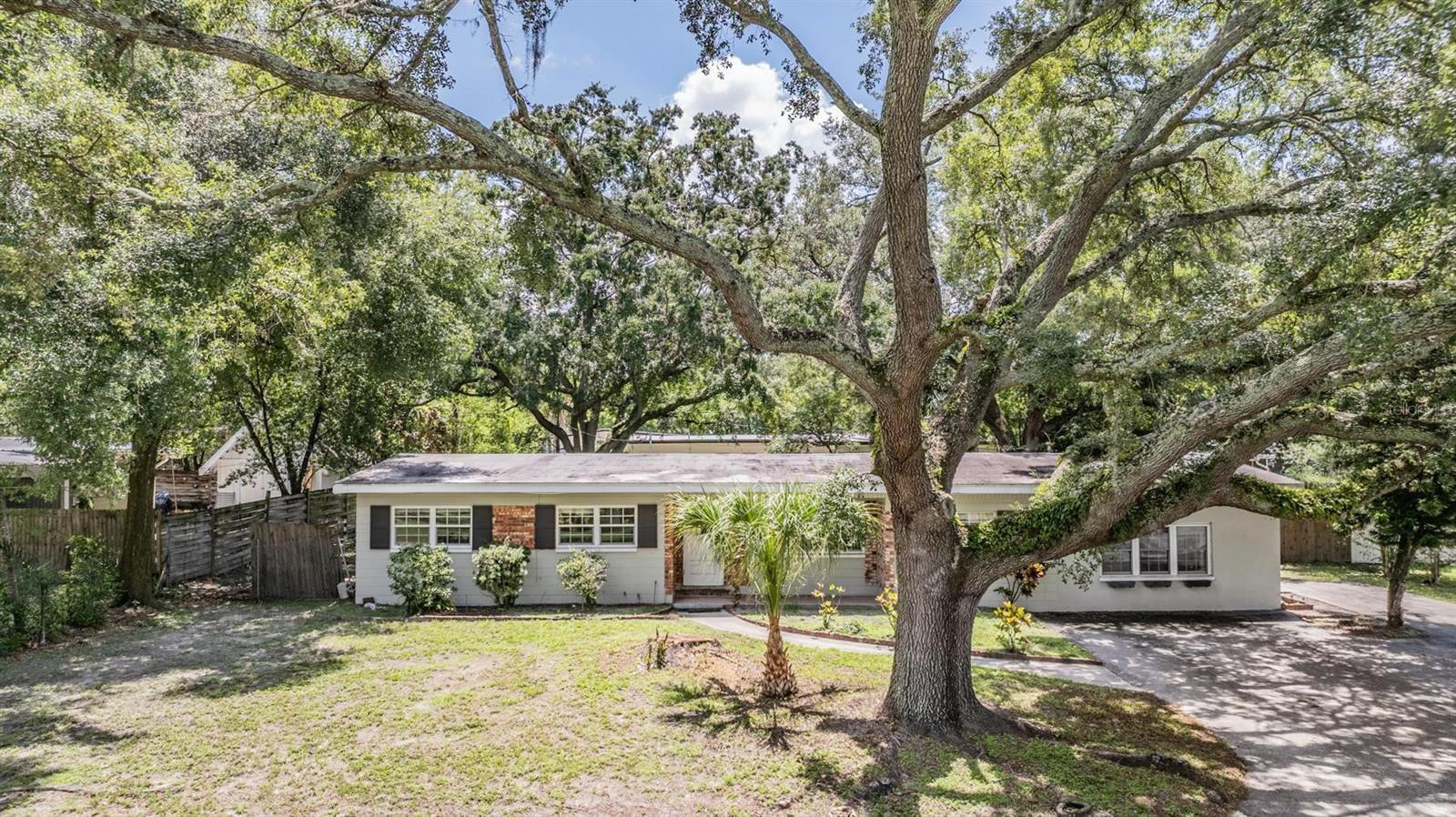 515 HIBISCUS DR, TEMPLE TERRACE, FL, 33617