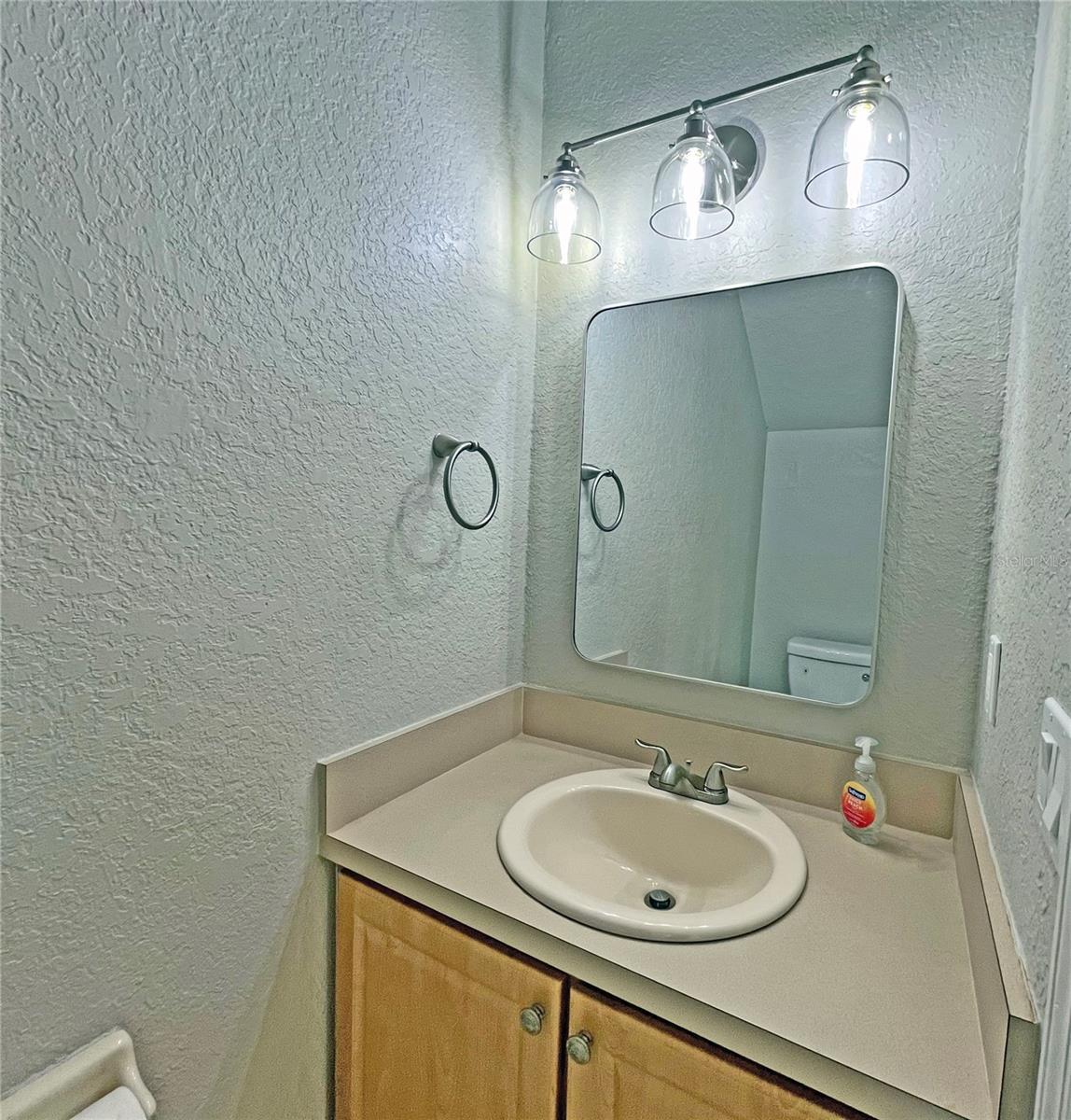 16510 LAKE BRIGADOON CIR, TAMPA, FL, 33618
