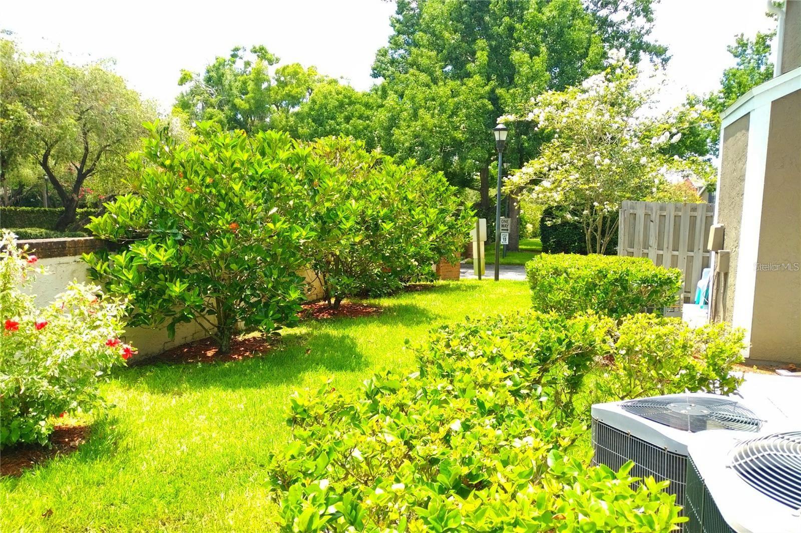 16510 LAKE BRIGADOON CIR, TAMPA, FL, 33618