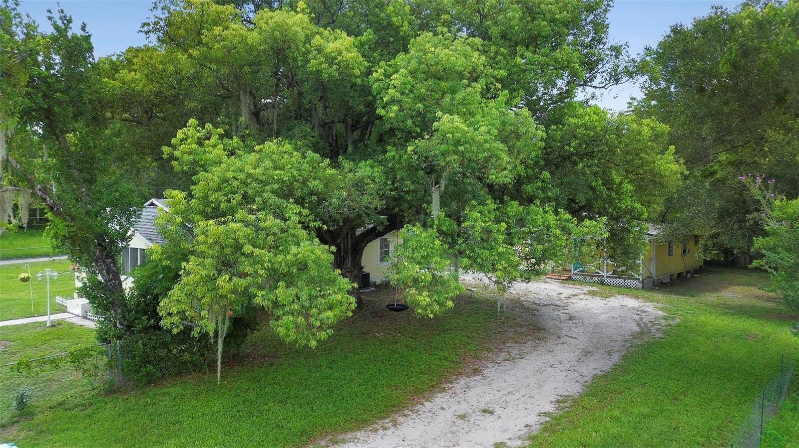 409 W BERESFORD AVE, DELAND, FL, 32720