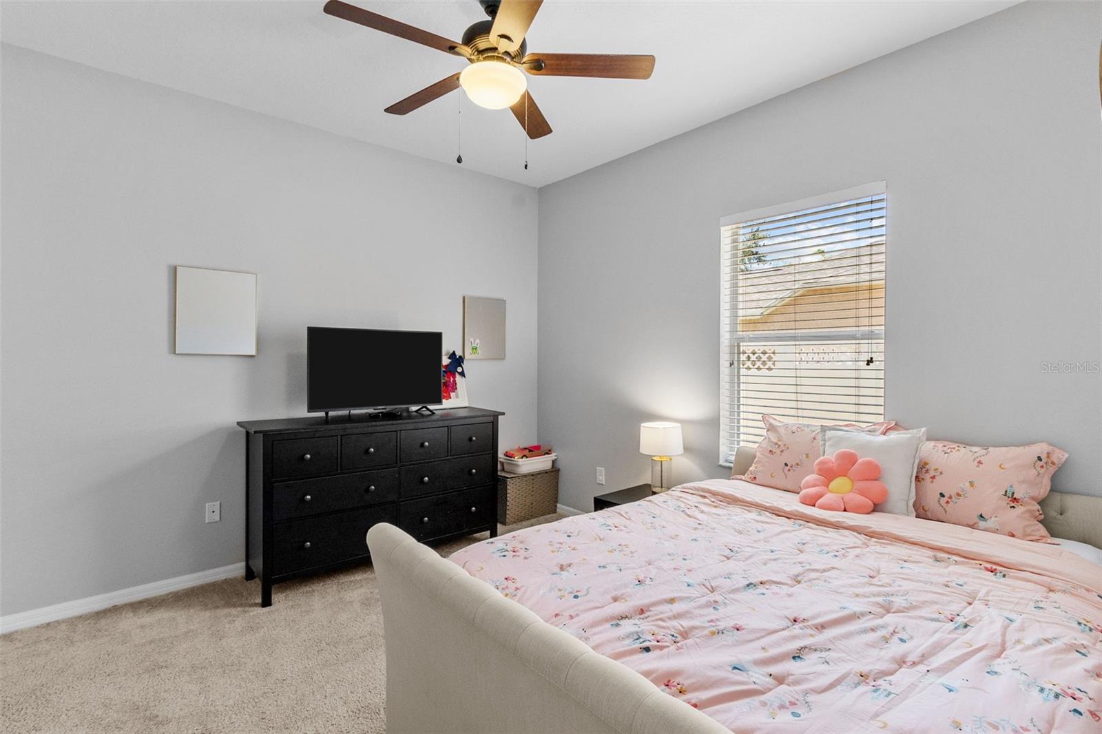 4809 WALNUT RIDGE RD, LAND O LAKES, FL, 34638