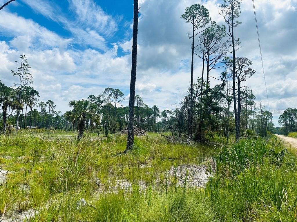 PELICAN PL, PERRY, FL, 32348