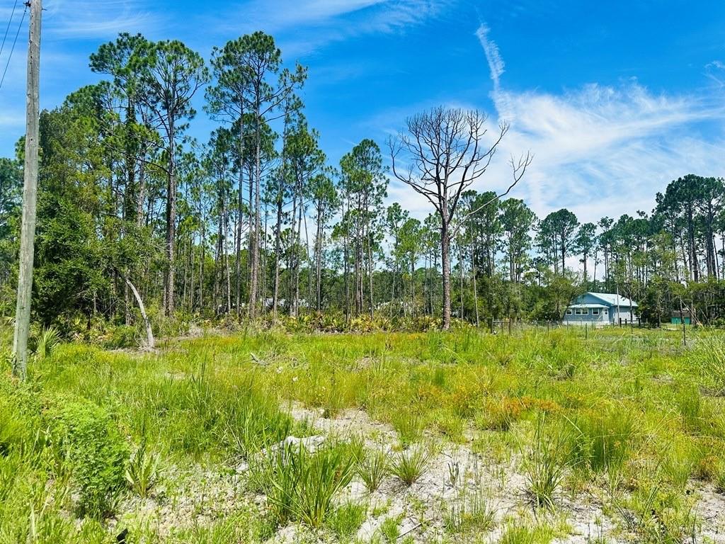 PELICAN PL, PERRY, FL, 32348