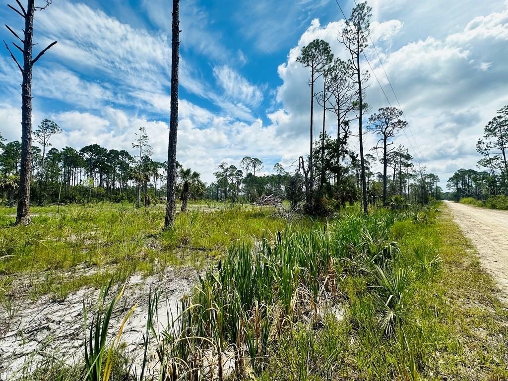 PELICAN PL, PERRY, FL, 32348