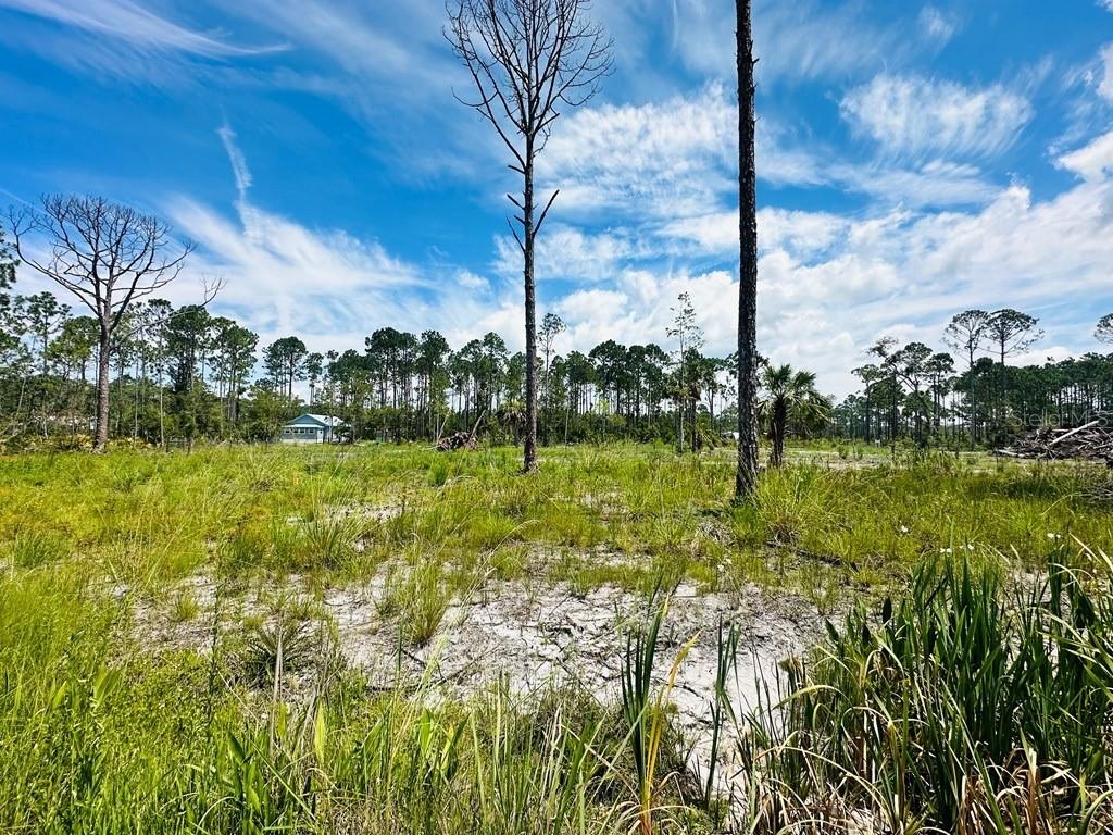 PELICAN PL, PERRY, FL, 32348