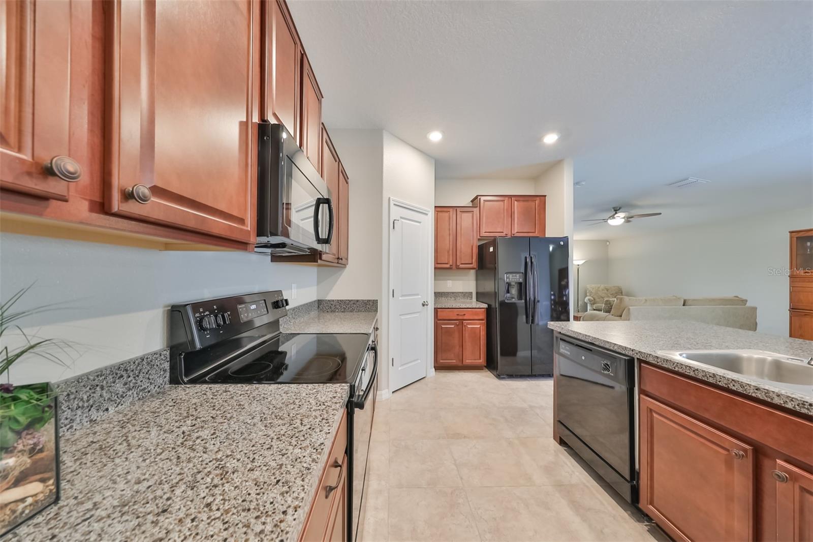 16903 PEACEFUL VALLEY DR, WIMAUMA, FL, 33598