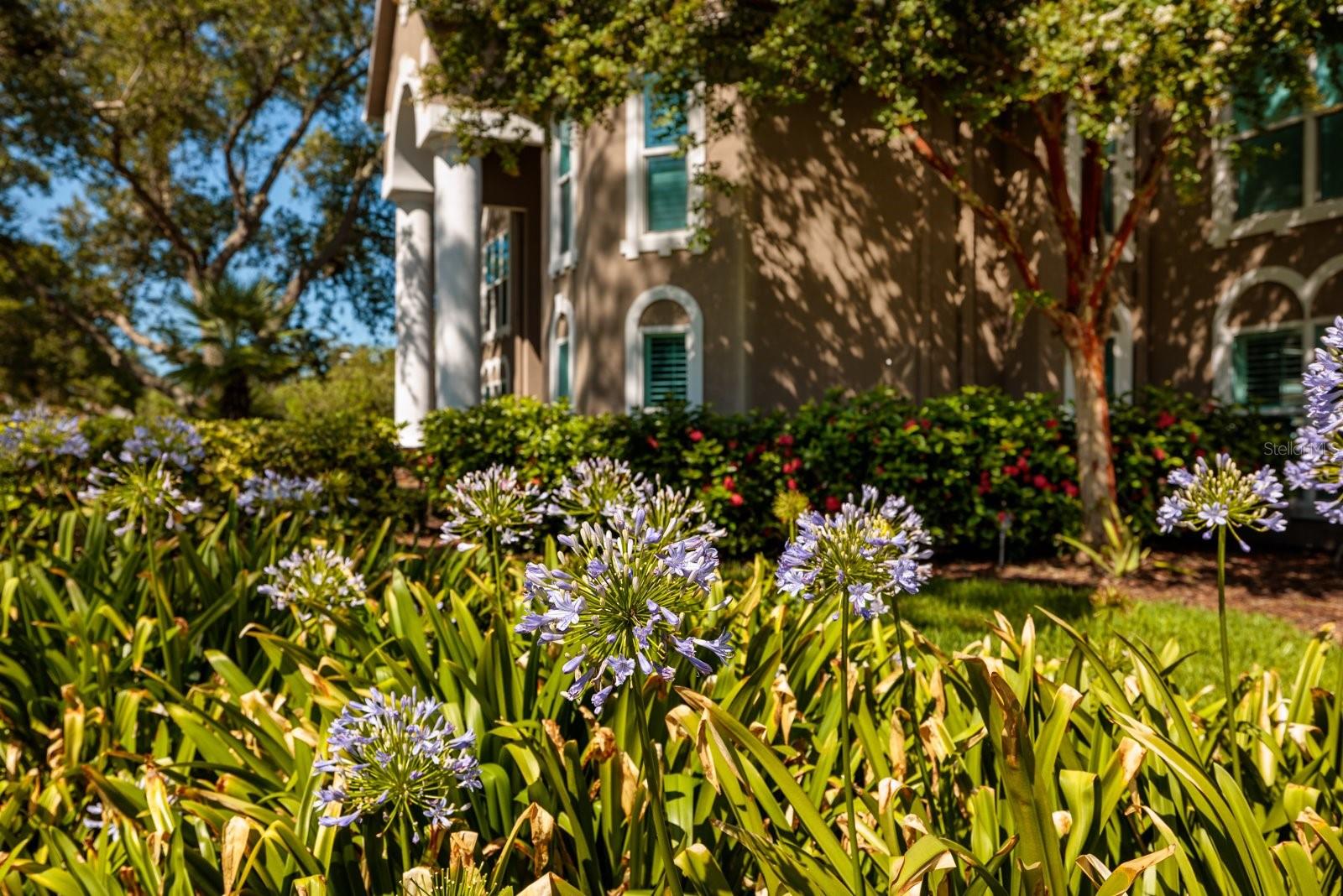 7400 14TH ST NE, ST PETERSBURG, FL, 33702