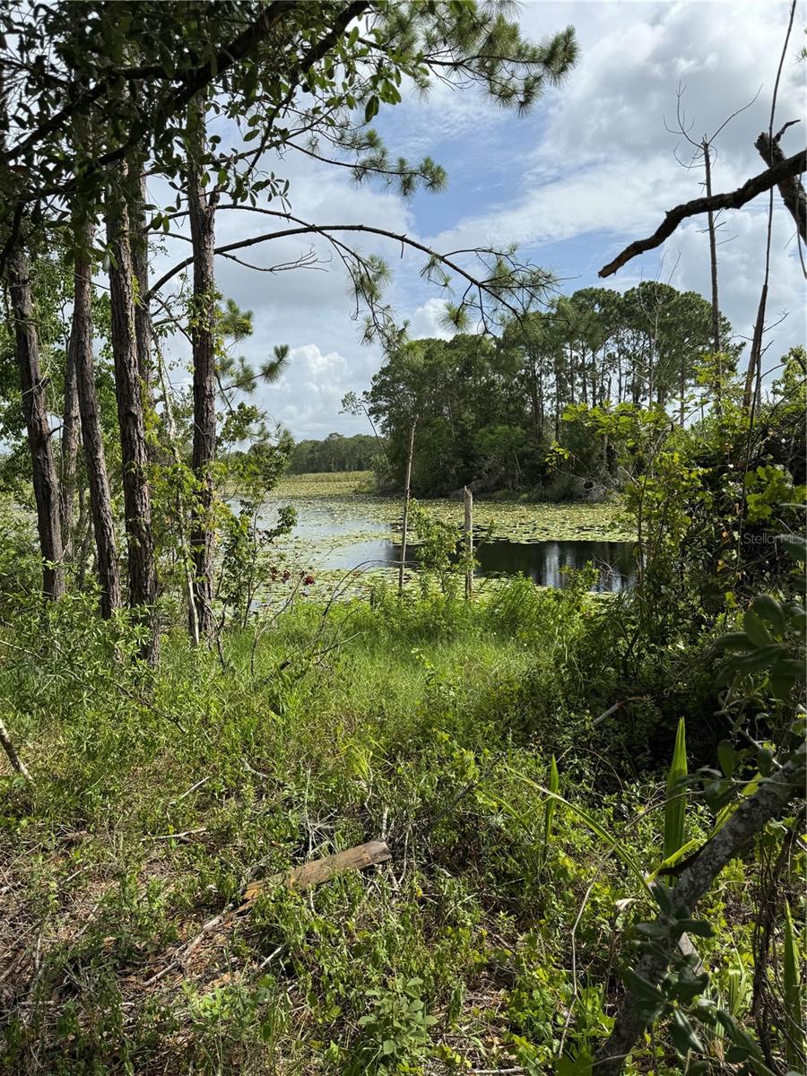 1780 CONVERSE CT, DELTONA, FL, 32738