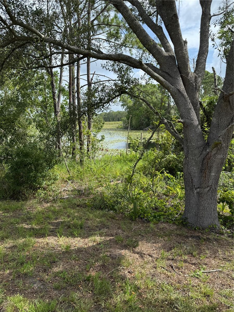 1780 CONVERSE CT, DELTONA, FL, 32738