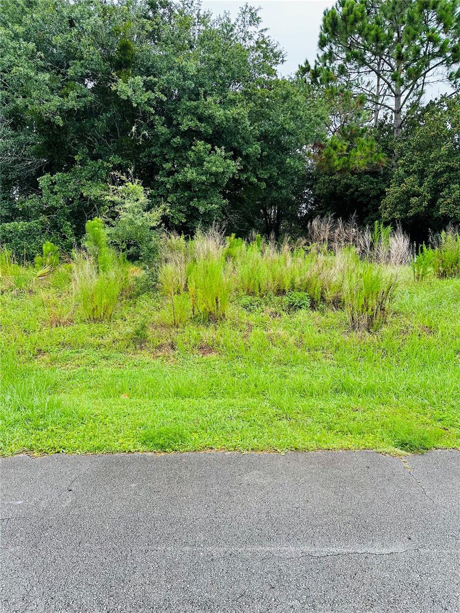 27 LEMA LN, PALM COAST, FL, 32137