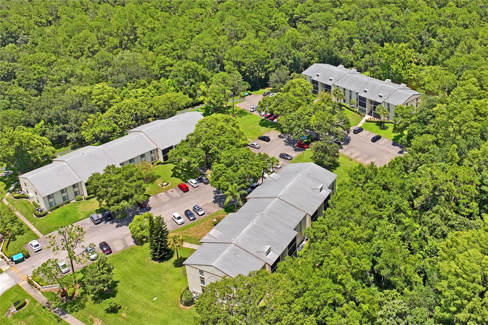 3232 LAKE PINE WAY E #H2, TARPON SPRINGS, FL, 34688