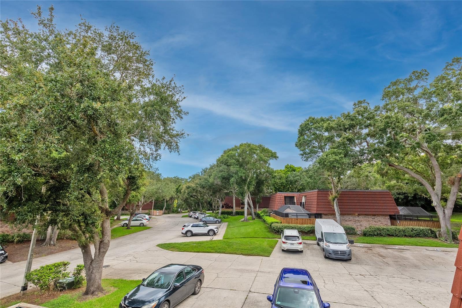 707 1ST CT, PALM HARBOR, FL, 34684