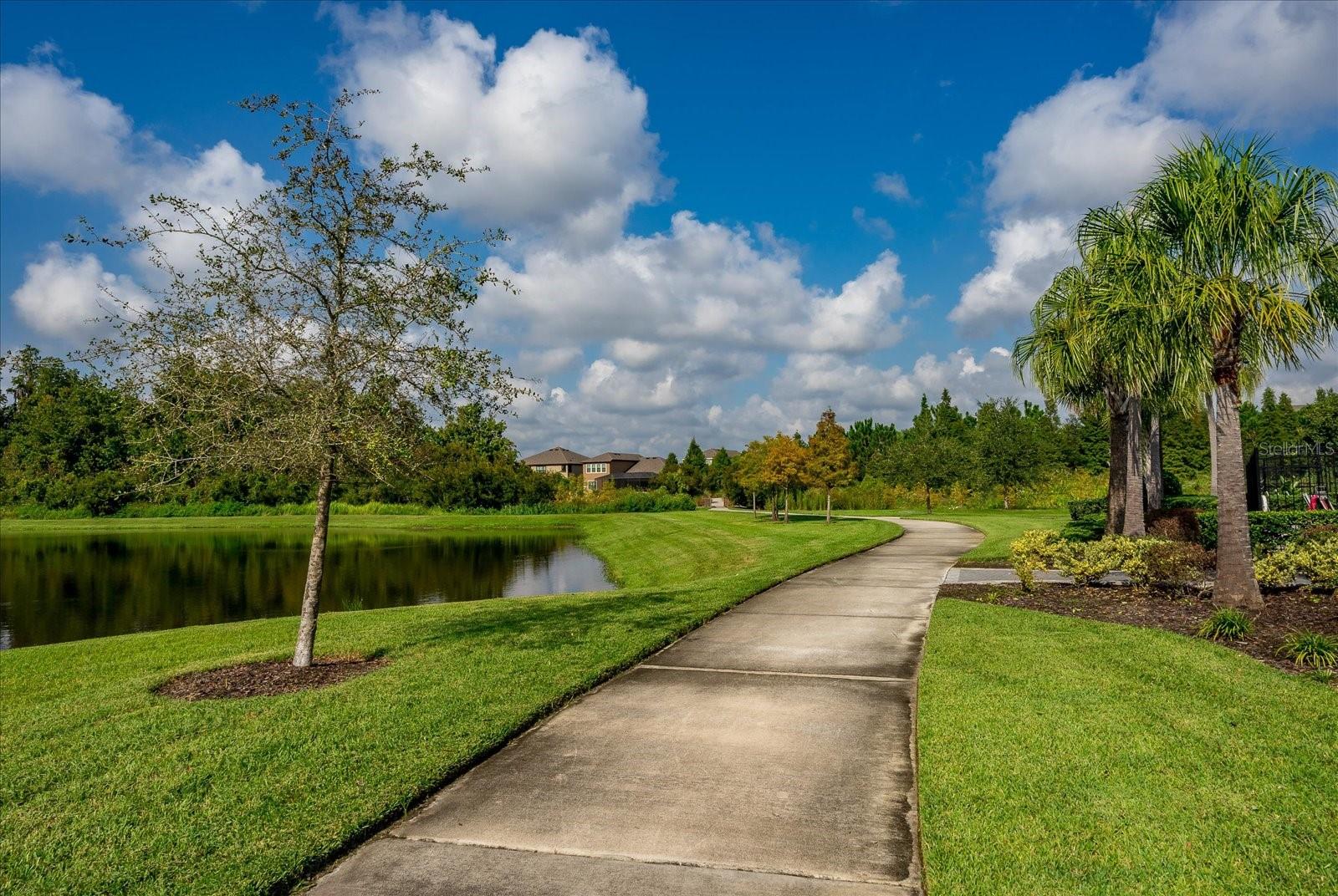 32625 KOBUK VALLEY AVE, WESLEY CHAPEL, FL, 33543