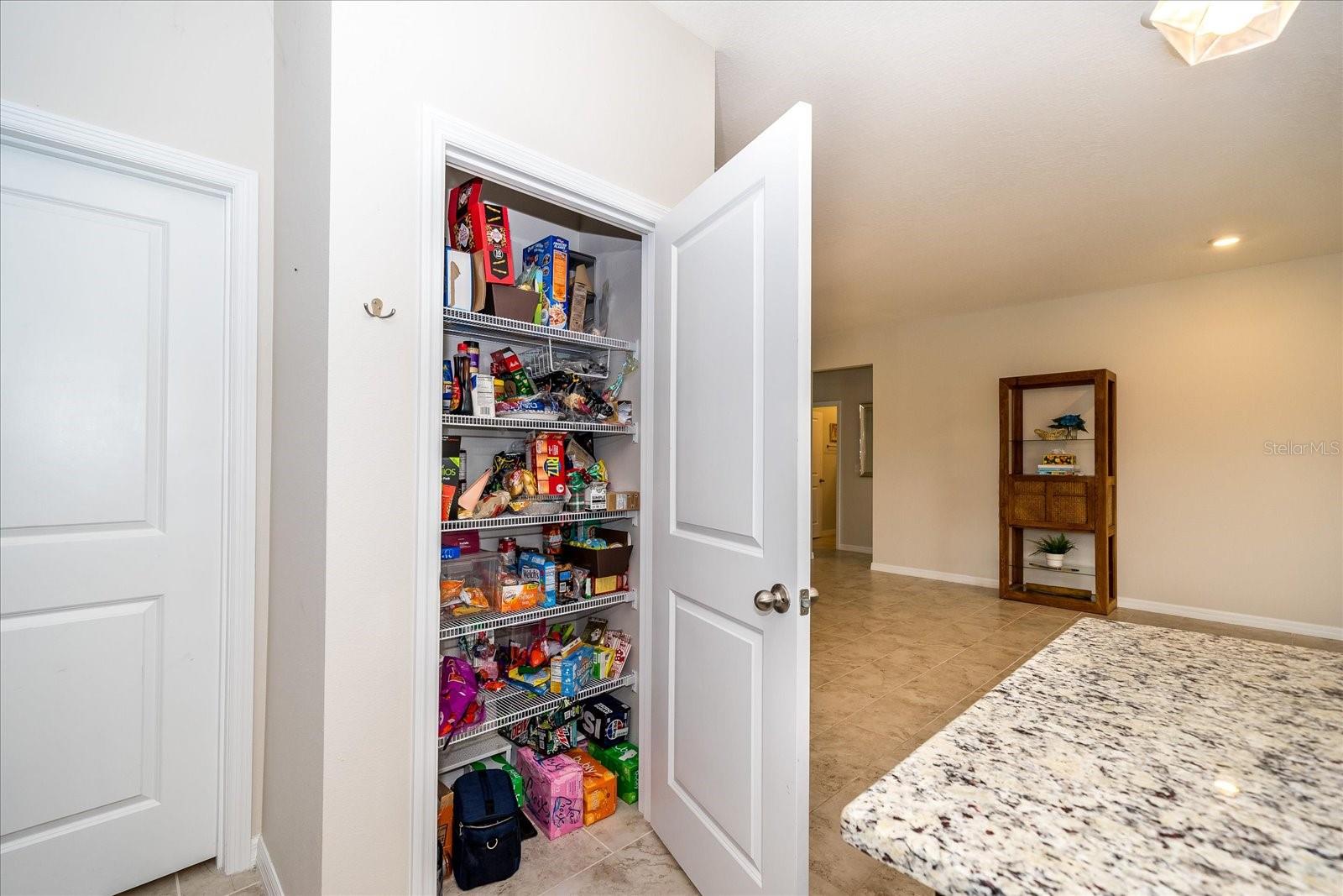 32625 KOBUK VALLEY AVE, WESLEY CHAPEL, FL, 33543