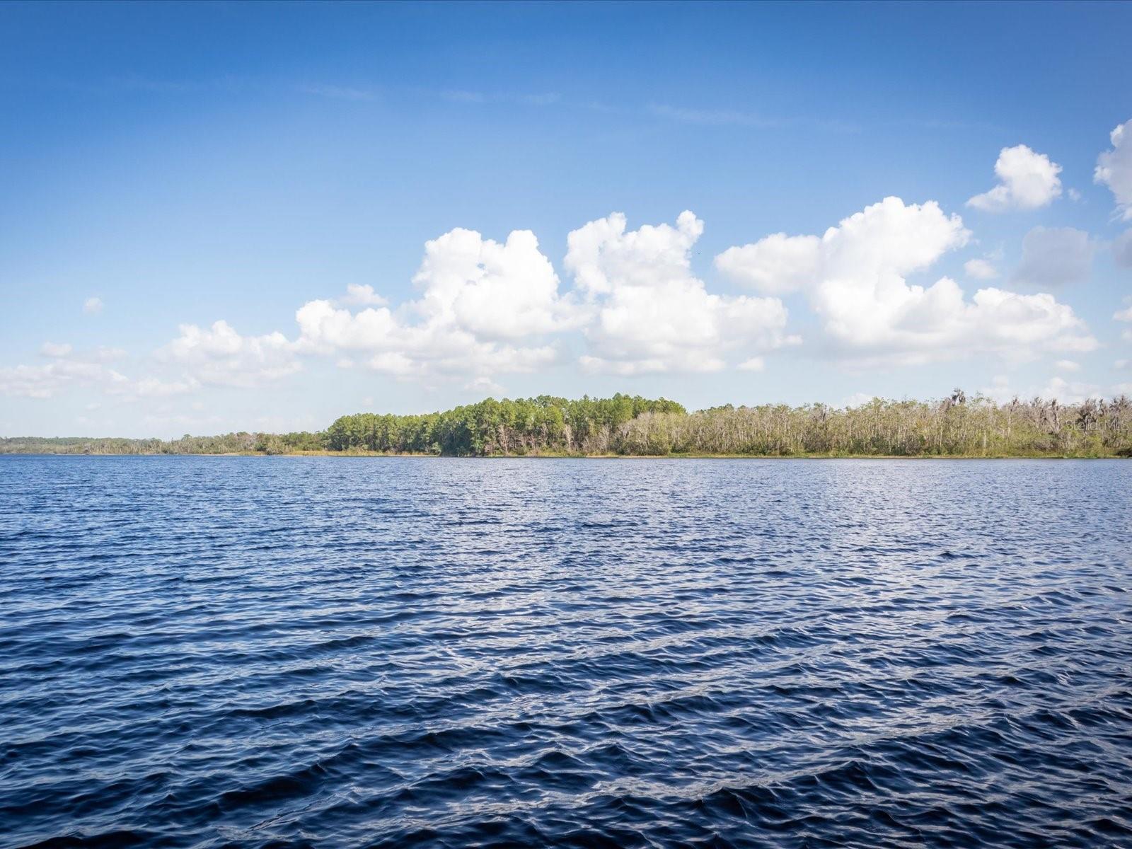 401 NEW PROVIDENCE PROMENADE #12401, DAVENPORT, FL, 33897