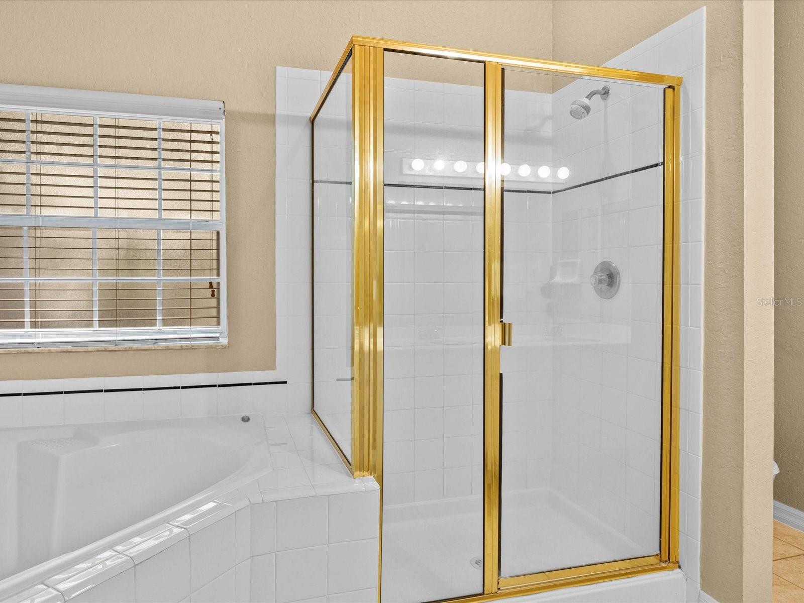 401 NEW PROVIDENCE PROMENADE #12401, DAVENPORT, FL, 33897