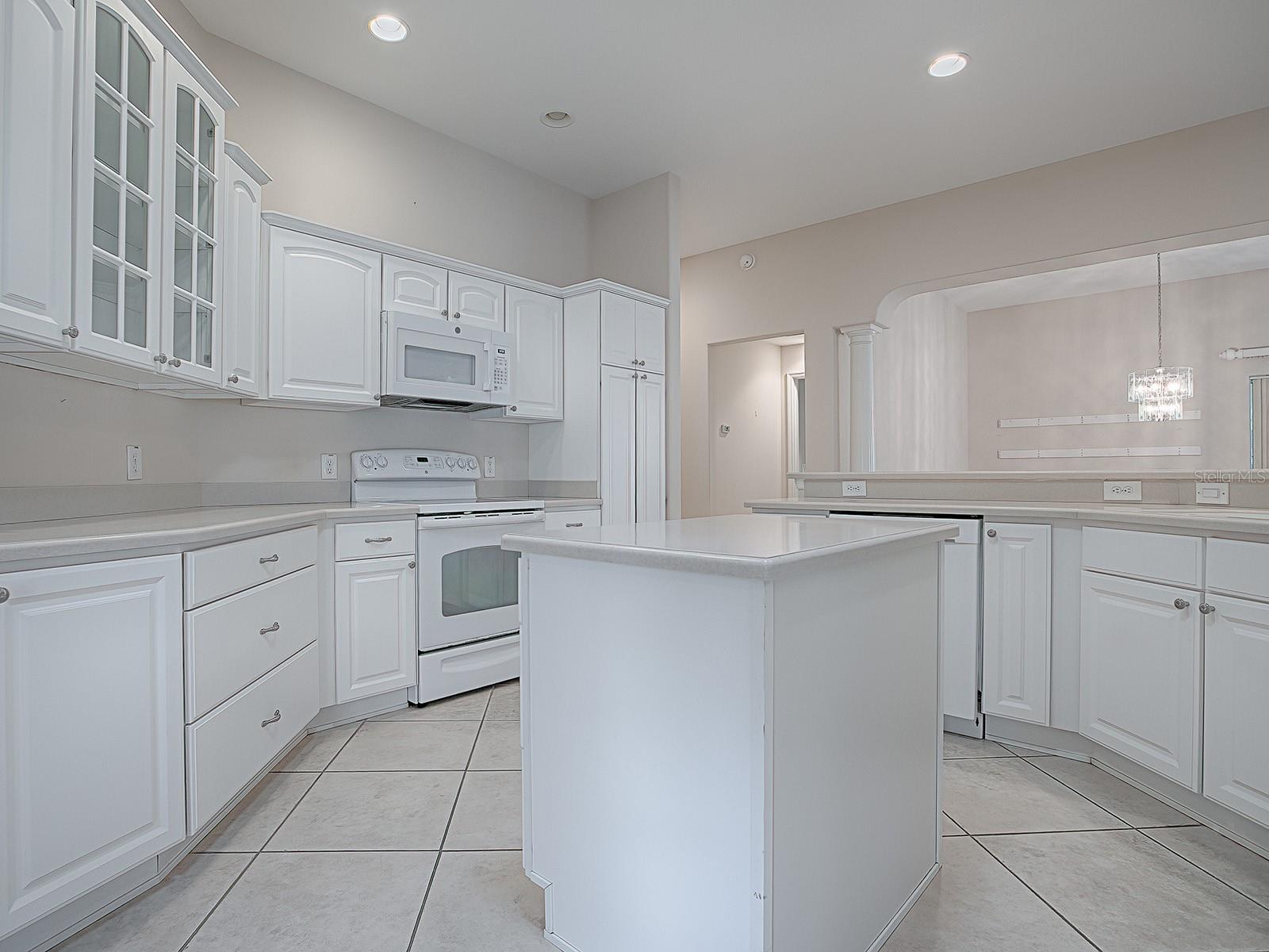 2410 LITTLE MOUNTAIN LOOP, THE VILLAGES, FL, 32162