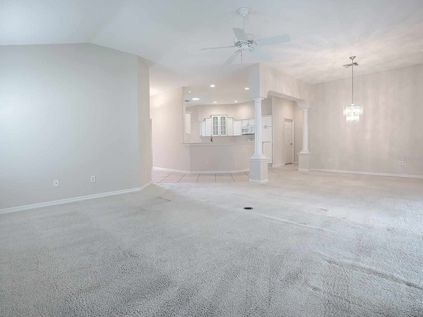 2410 LITTLE MOUNTAIN LOOP, THE VILLAGES, FL, 32162