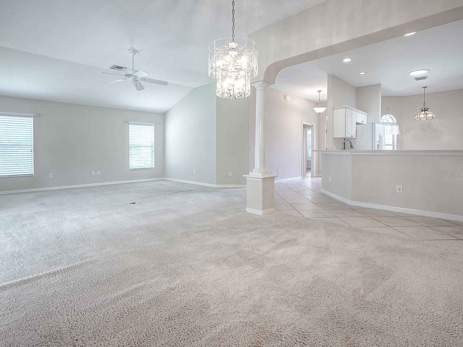 2410 LITTLE MOUNTAIN LOOP, THE VILLAGES, FL, 32162