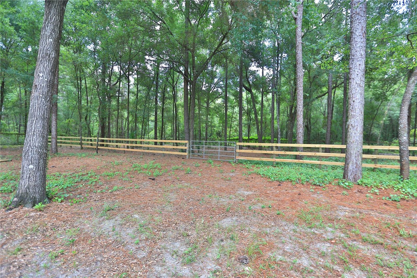 5894 NE 43RD LANE RD, SILVER SPRINGS, FL, 34488