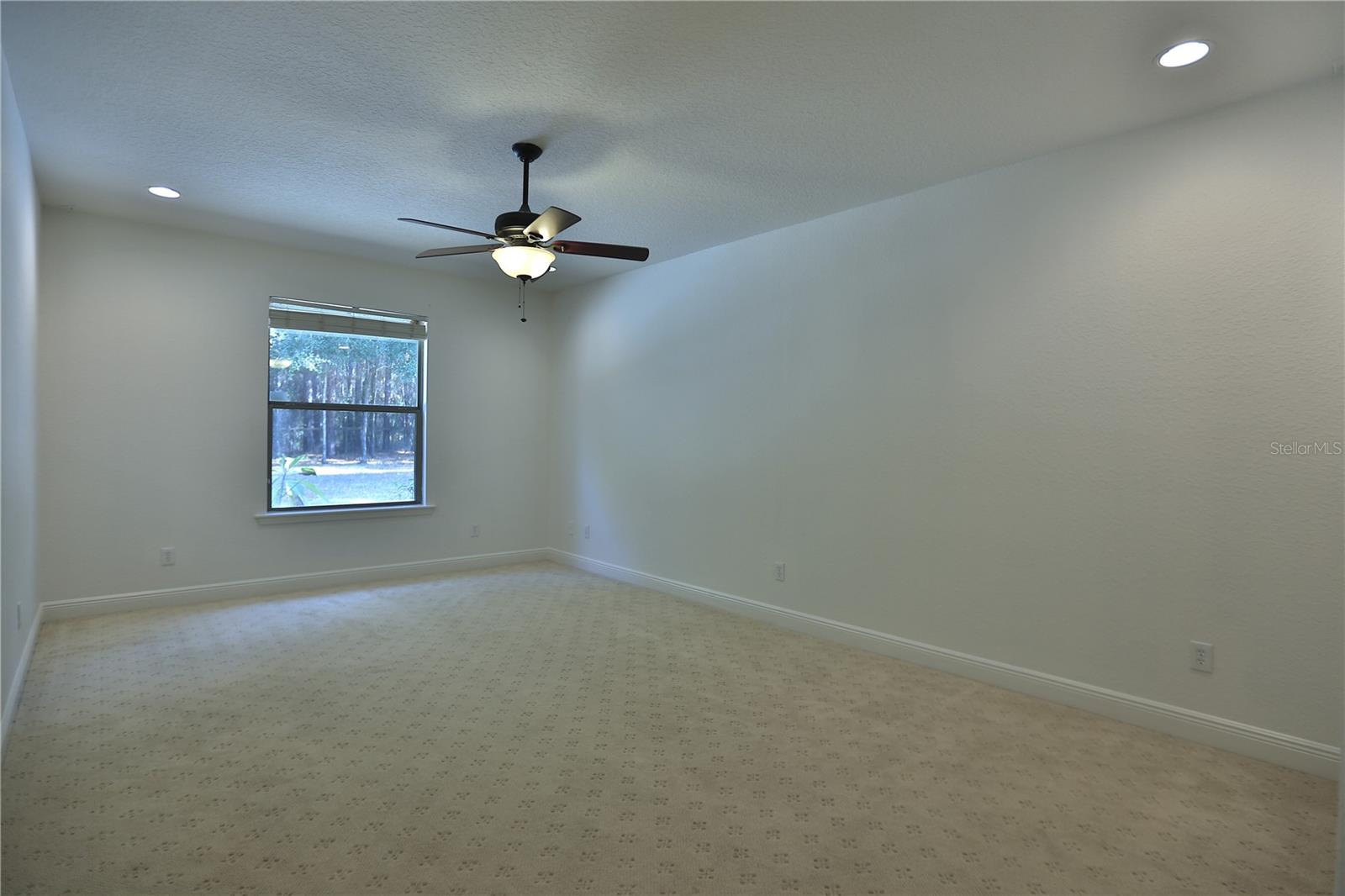 5894 NE 43RD LANE RD, SILVER SPRINGS, FL, 34488