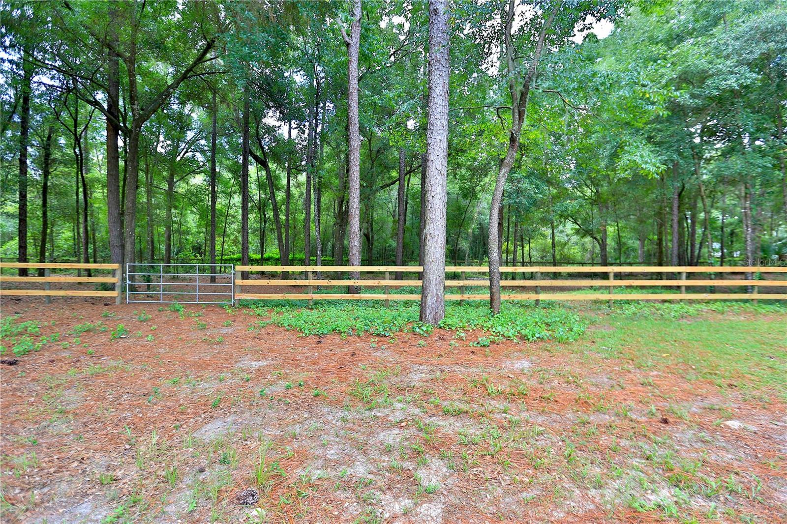 5894 NE 43RD LANE RD, SILVER SPRINGS, FL, 34488