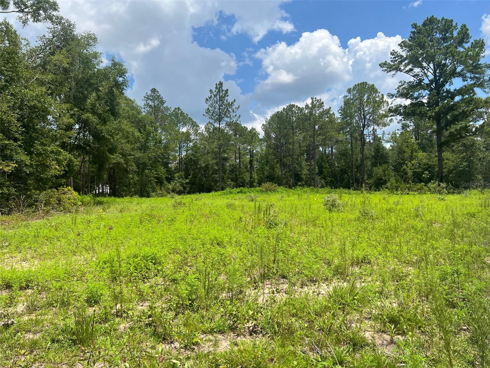 TBD NE 78TH LN, BRONSON, FL, 32621