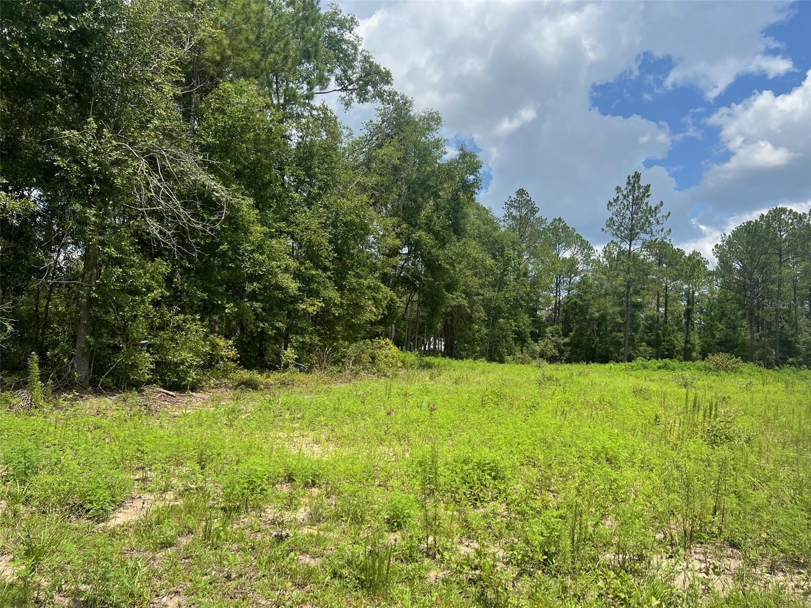TBD NE 78TH LN, BRONSON, FL, 32621