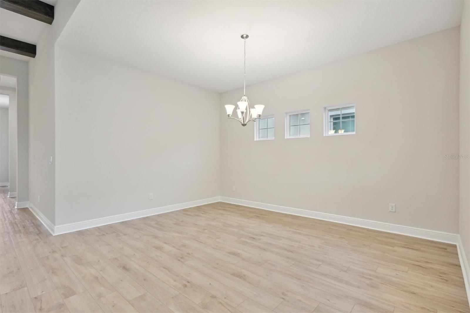6257 HIDDEN BRANCH DR, APOLLO BEACH, FL, 33572