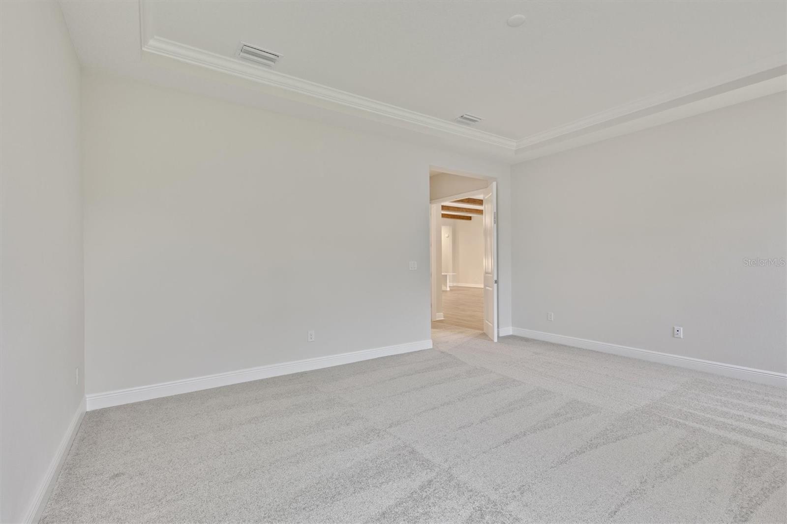 6257 HIDDEN BRANCH DR, APOLLO BEACH, FL, 33572