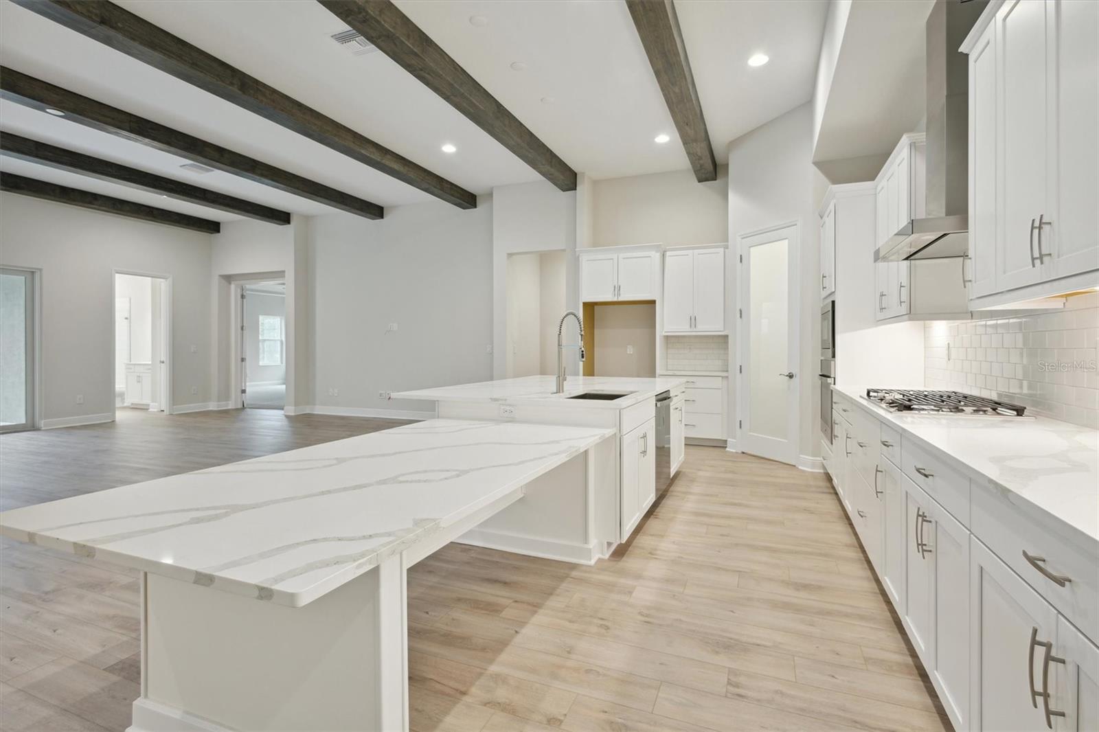 6257 HIDDEN BRANCH DR, APOLLO BEACH, FL, 33572