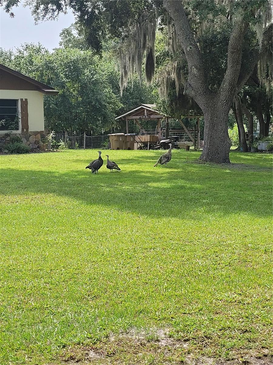 ST CLOUD MANOR ESTATES UNIT 2, ST CLOUD, FL, 34772