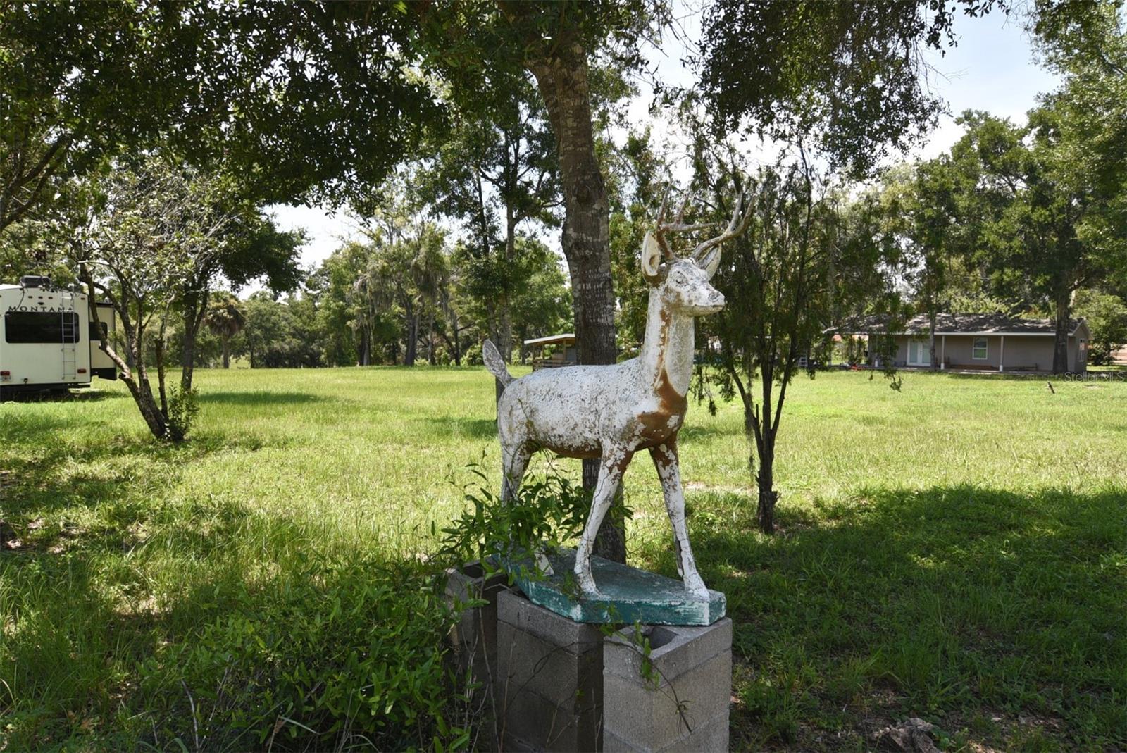 3100 POVERTY LN, APOPKA, FL, 32712