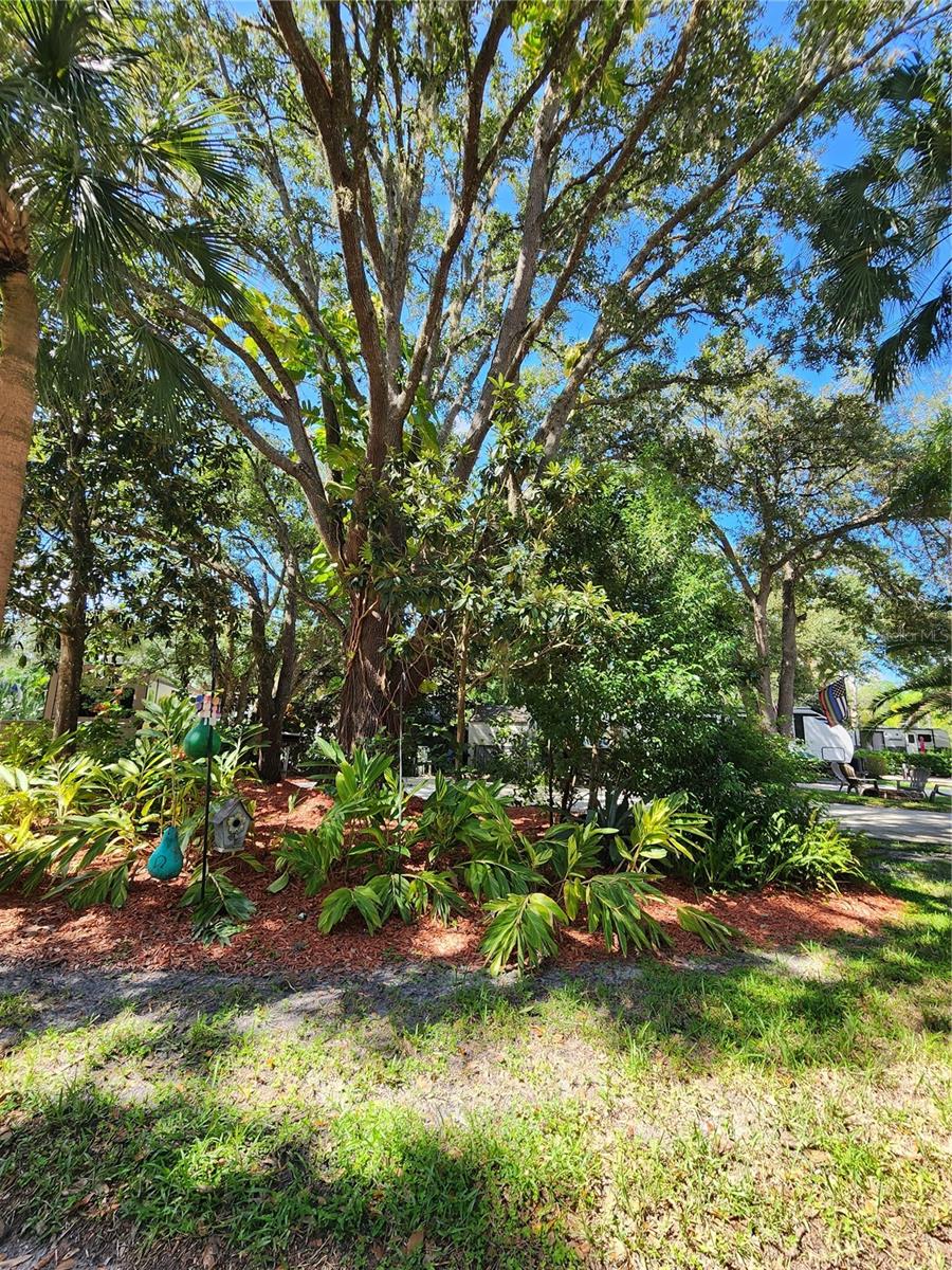 207 LONGHORN DR, LAKE WALES, FL, 33898