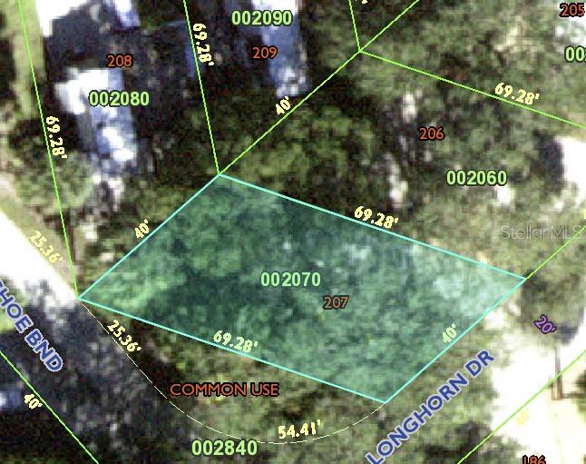 207 LONGHORN DR, LAKE WALES, FL, 33898