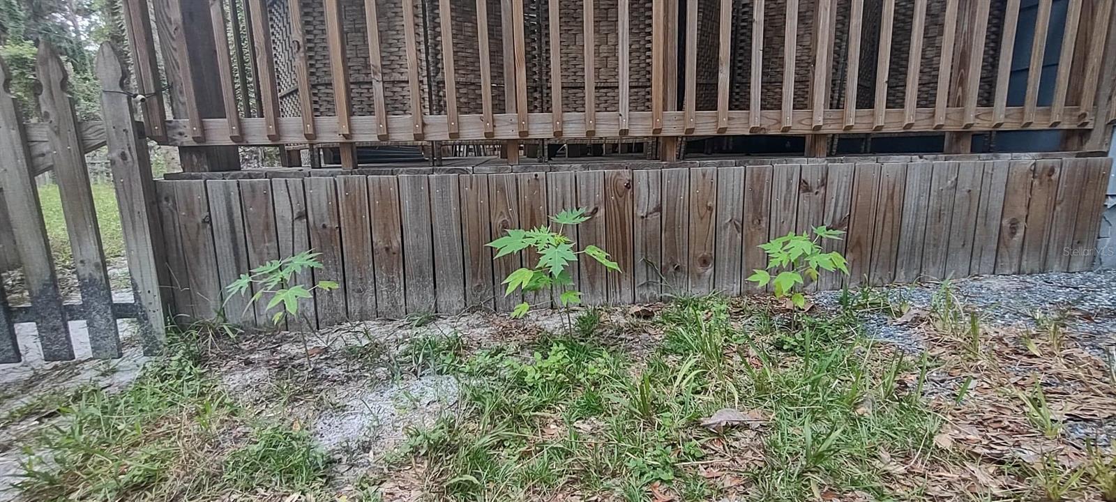 5403 HIGHWAY 40 W, YANKEETOWN, FL, 34498
