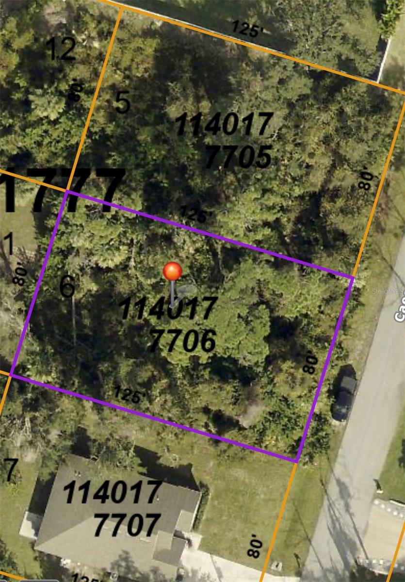 Lot 6 CEASAR RD, NORTH PORT, FL, 34288