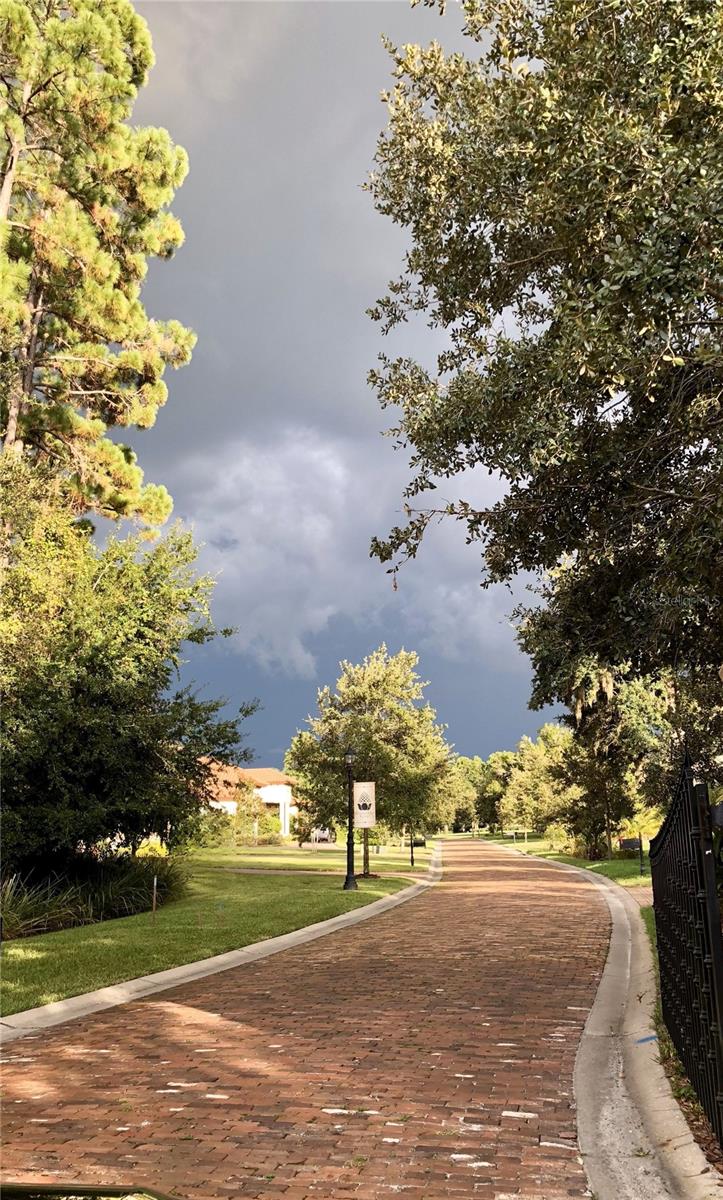 11624 CALF PATH DR, TAMPA, FL, 33626