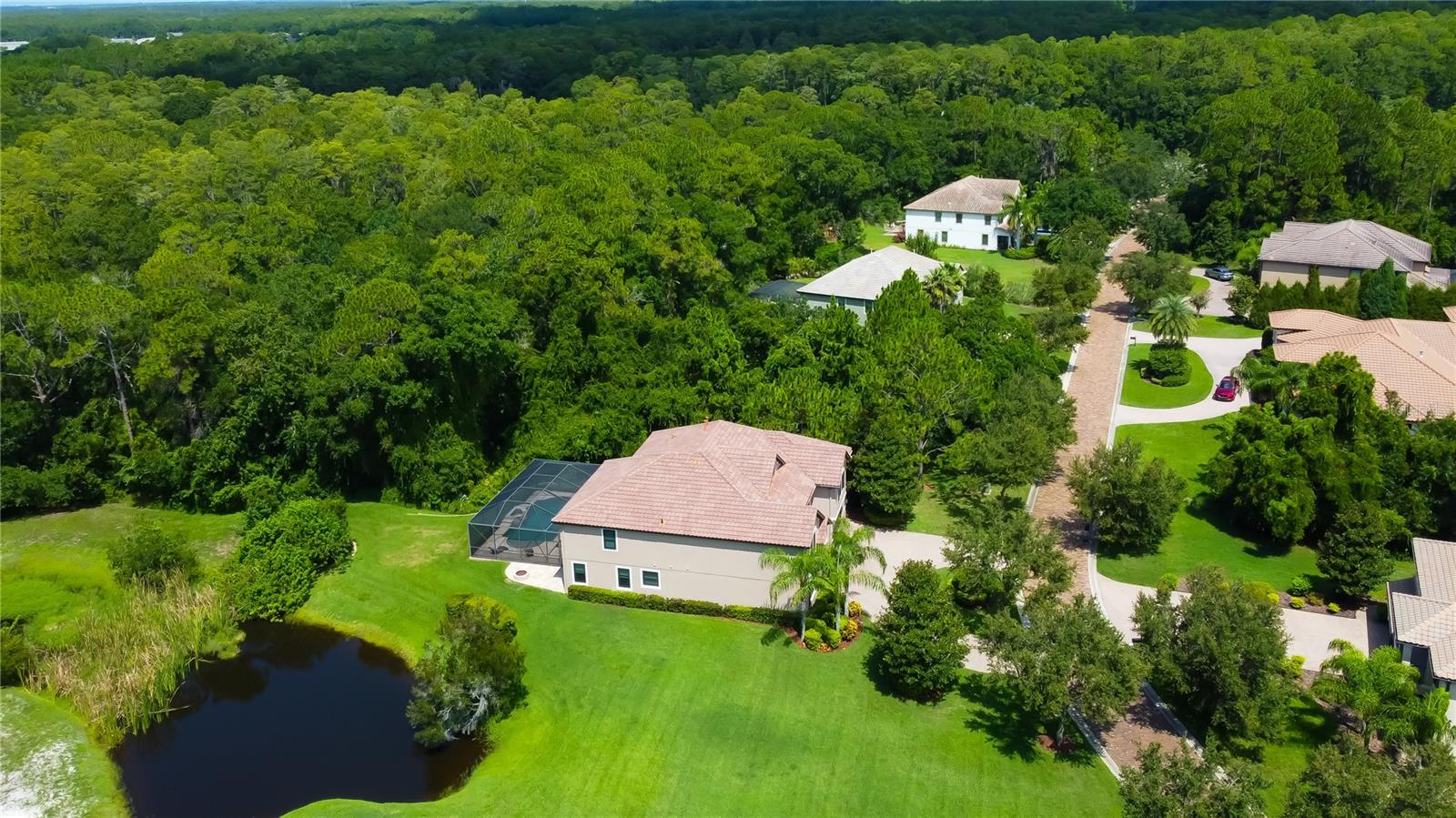 11624 CALF PATH DR, TAMPA, FL, 33626