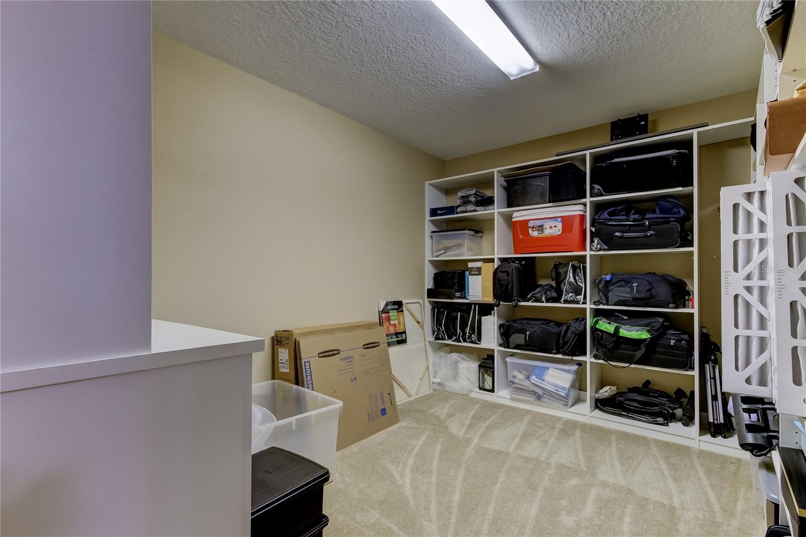 11624 CALF PATH DR, TAMPA, FL, 33626