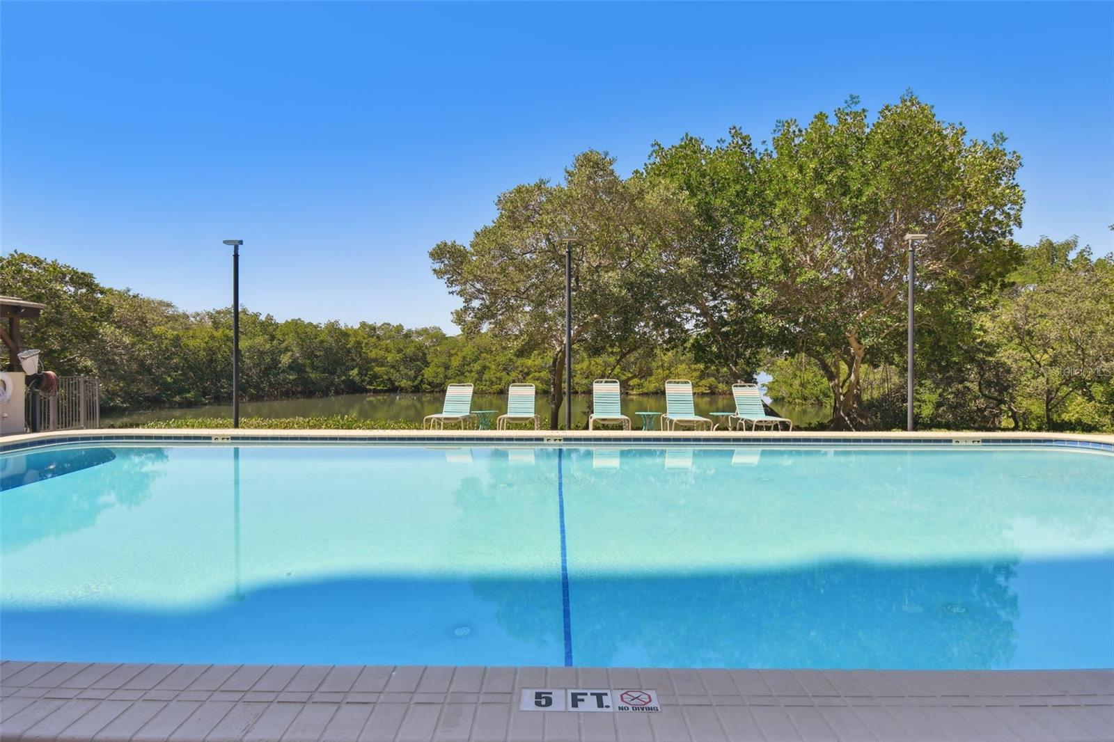 7050 SUNSET DR S #203, SOUTH PASADENA, FL, 33707